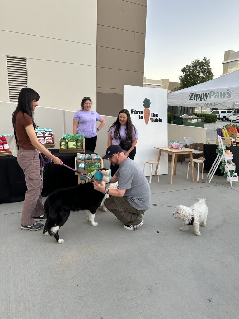 Staff and Attendees at Summer Night Market