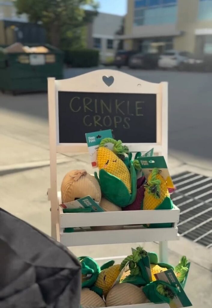 Crinkle Crops Toys at Summer Night Market