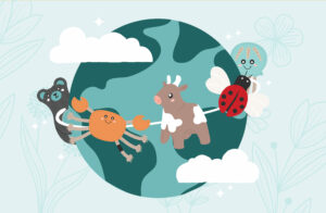 Meet ecoZippy – Good for Pets, Great for the Planet