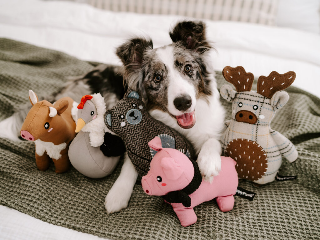 ecoZippy Cotton Cuddler Dog Toys