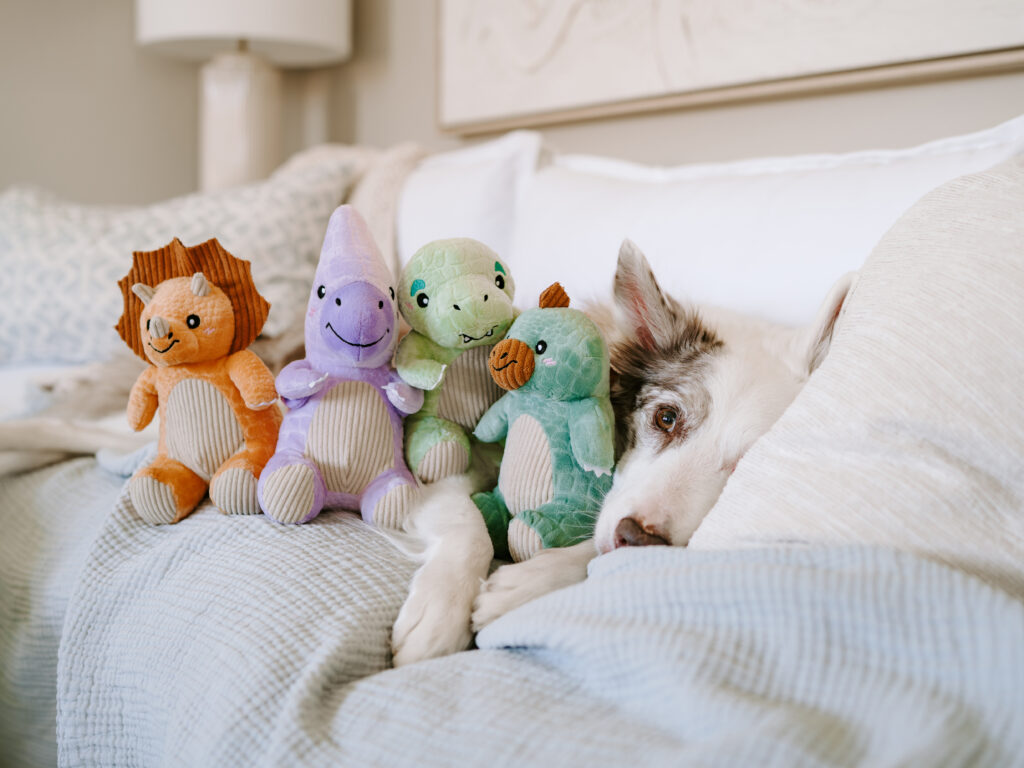 ecoZippy Dinoz dog toys