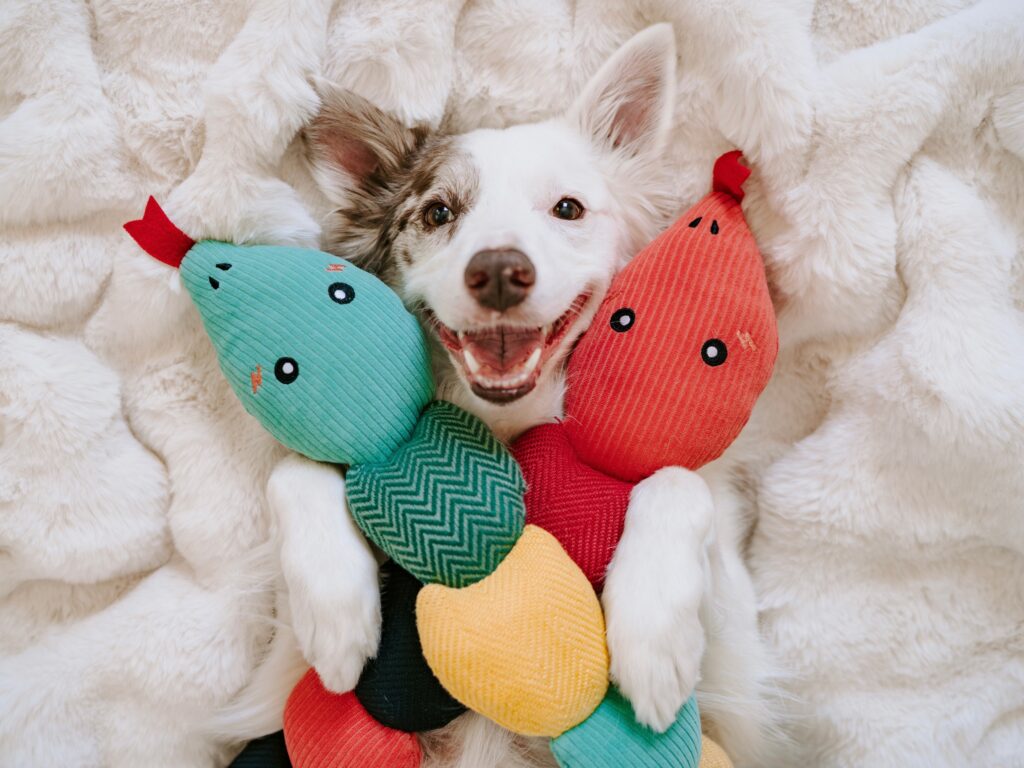 Dog with ecoZippy Snakes