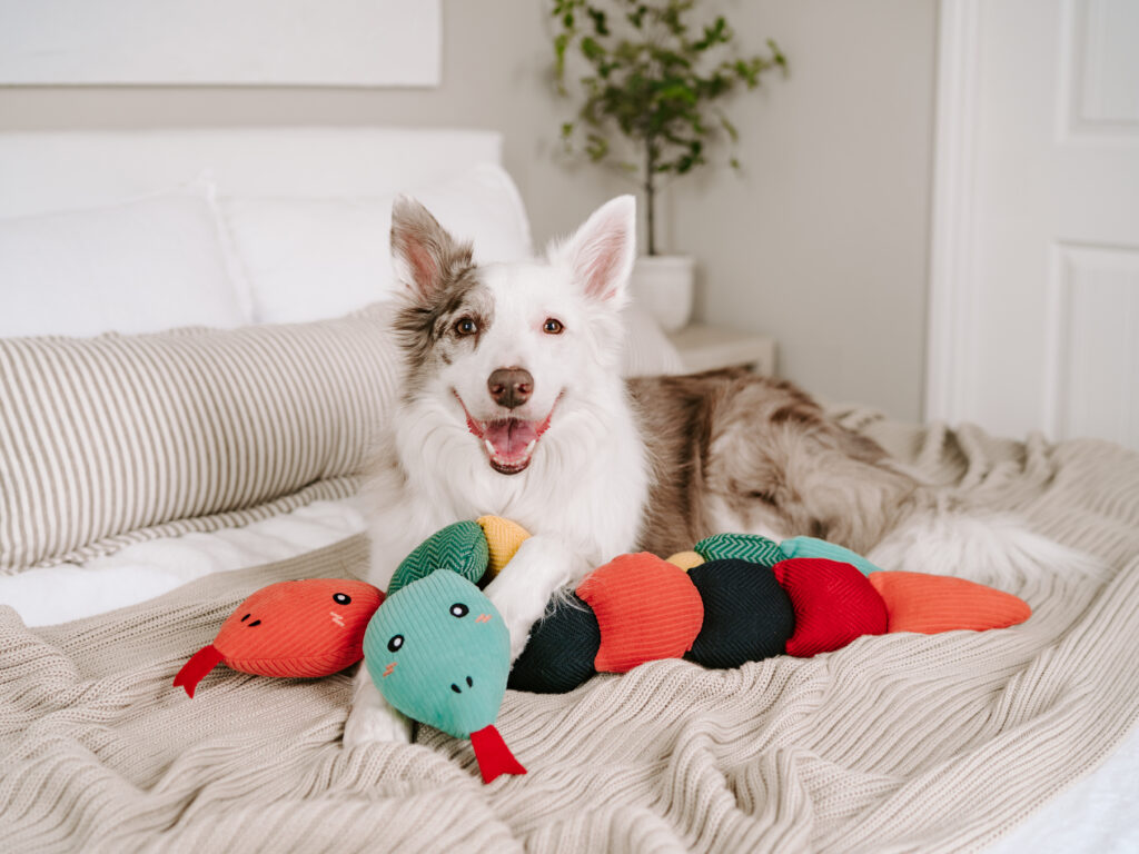 ecoZippy snake dog toys