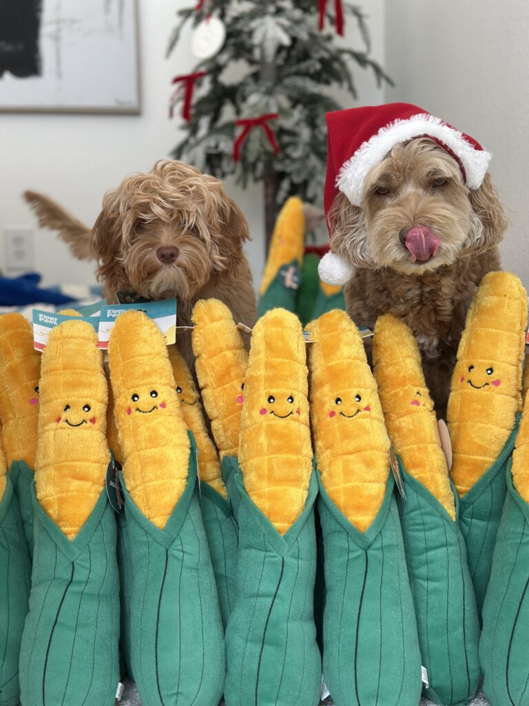 Sampson the Dood in a Santa Hat surrounded by Jigglerz Corn Toys