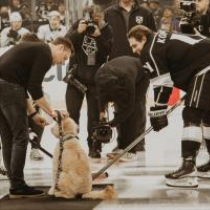 Crypto.com Arena Goes to the Dogs with ZippyPaws Themed Night at LA Kings Game