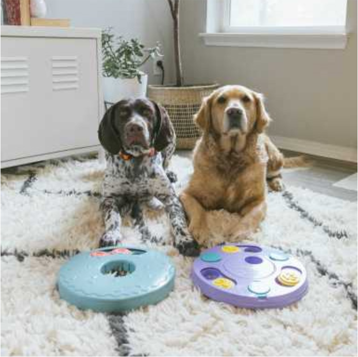 AEG and LA Kings Score One for Pets in First-of-its-kind Partnership With ZippyPaws