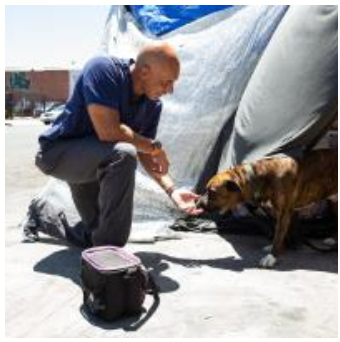Fetch Pet Insurance Launches Second Annual 101 Donations Campaign