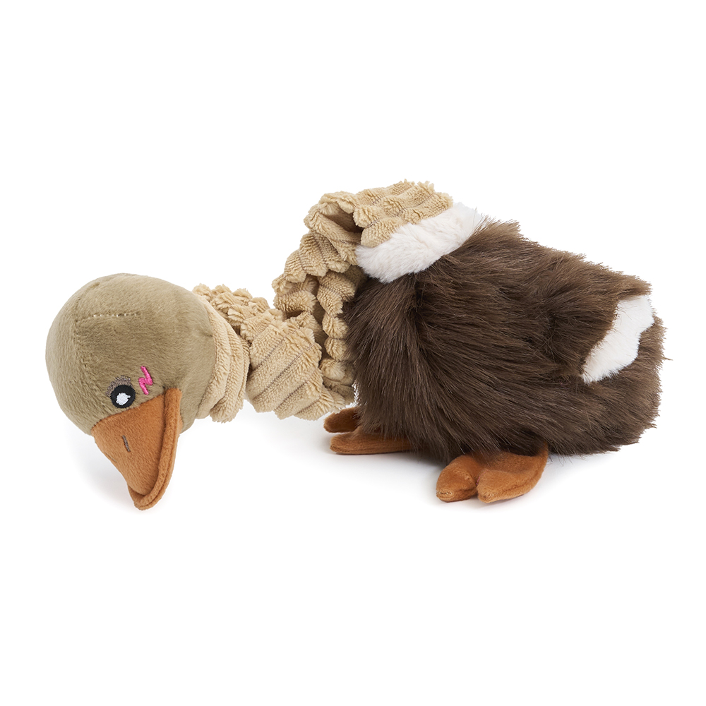 Bungee Buddiez - Ostrich