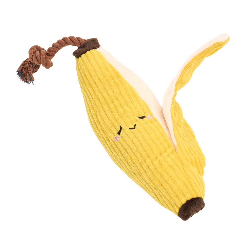 A squeakie plush toy with crinkle leaves and a rope stem