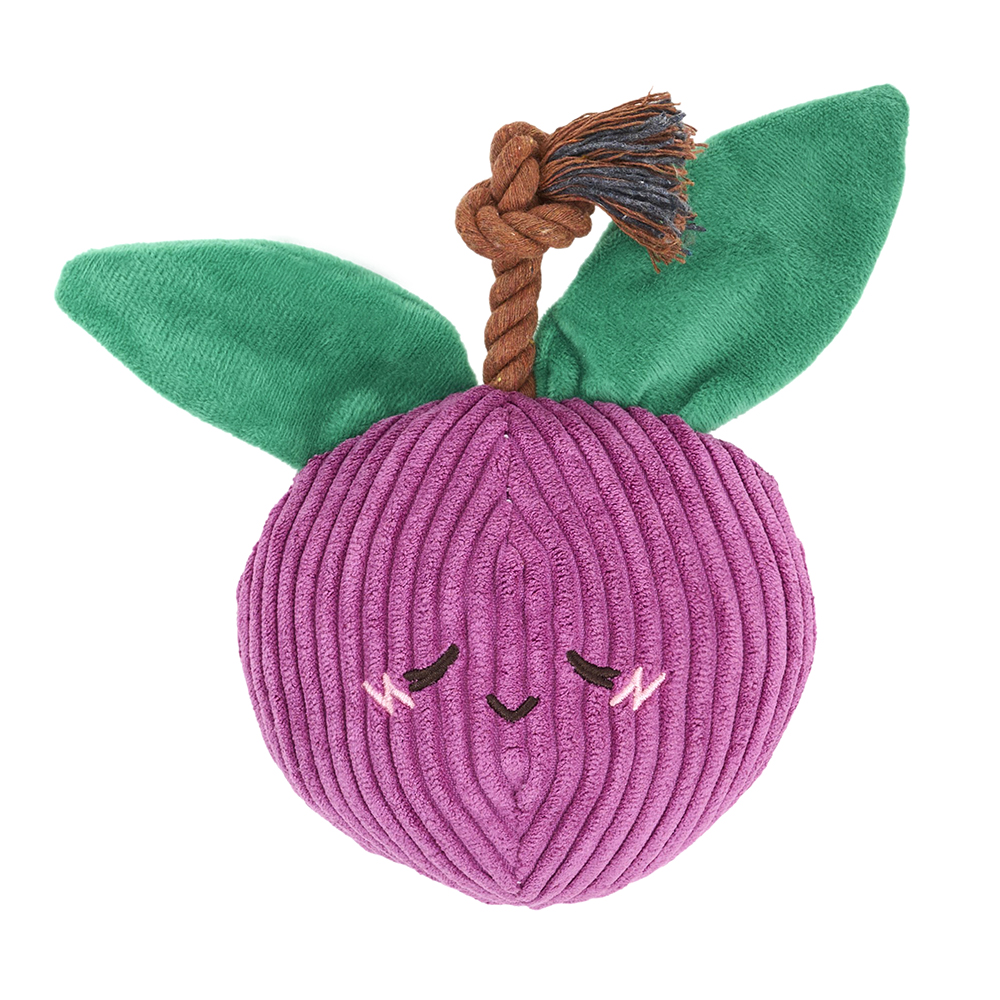 A squeakie plush toy with crinkle leaves and a rope stem