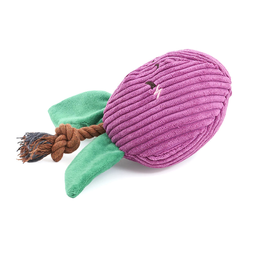 A squeakie plush toy with crinkle leaves and a rope stem