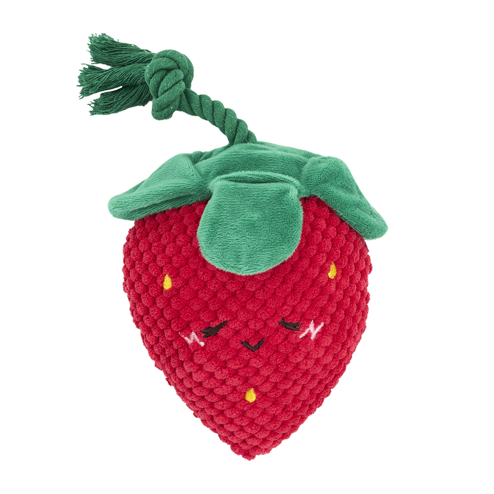 A squeakie plush toy with crinkle leaves and a rope stem