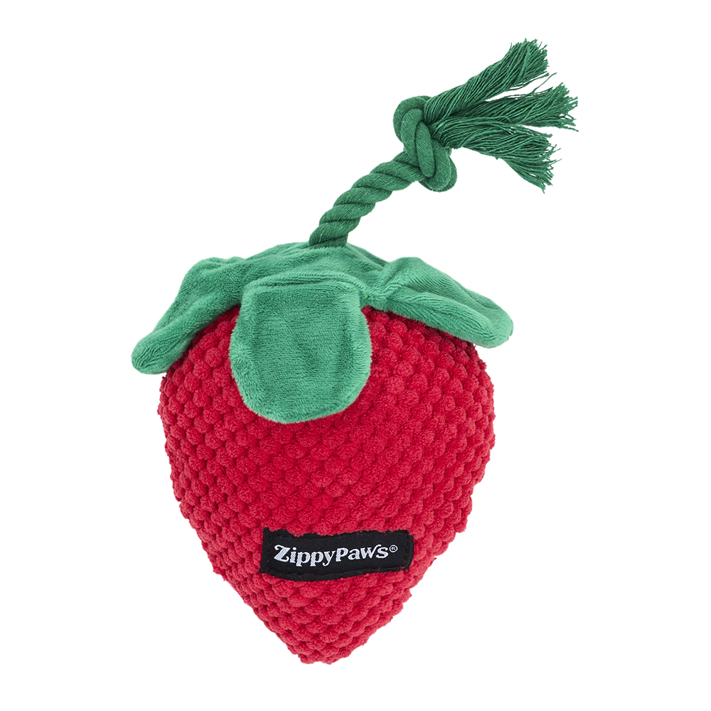 A squeakie plush toy with crinkle leaves and a rope stem