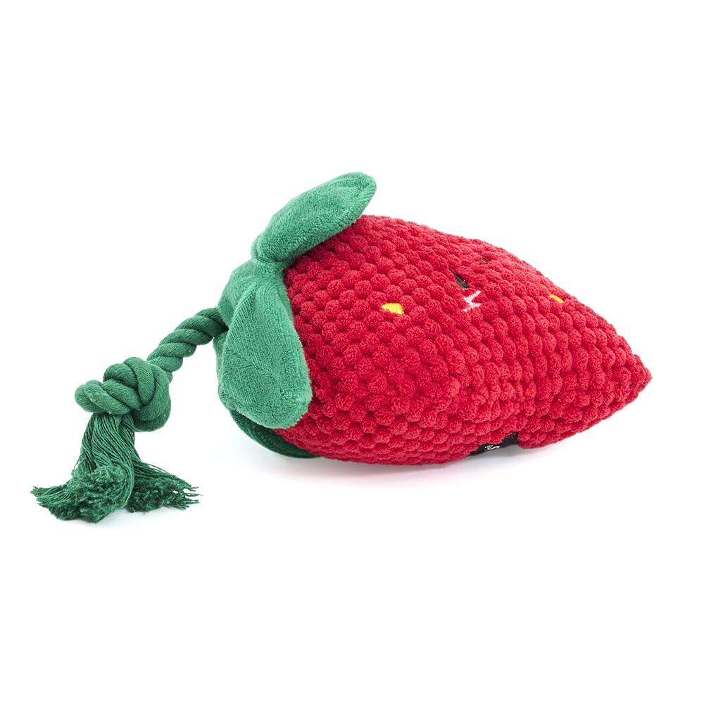 A squeakie plush toy with crinkle leaves and a rope stem