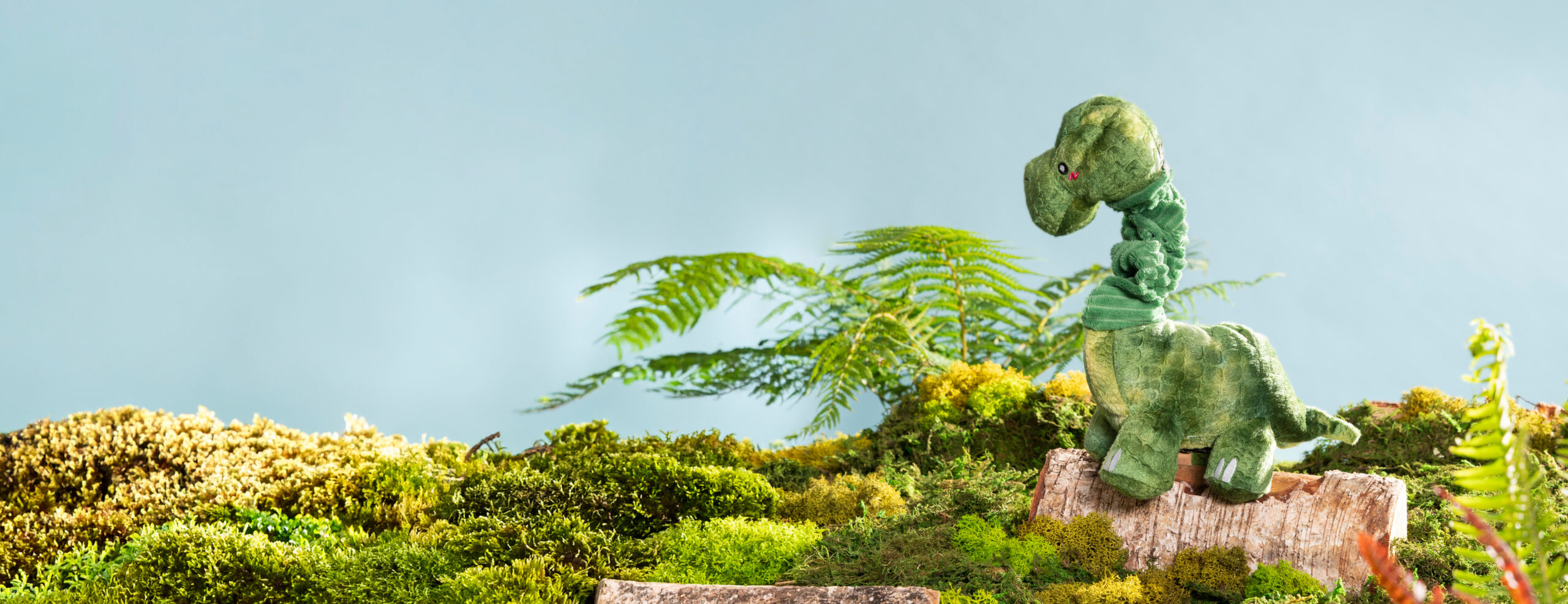 Tug, Shake, Squeak, Repeat