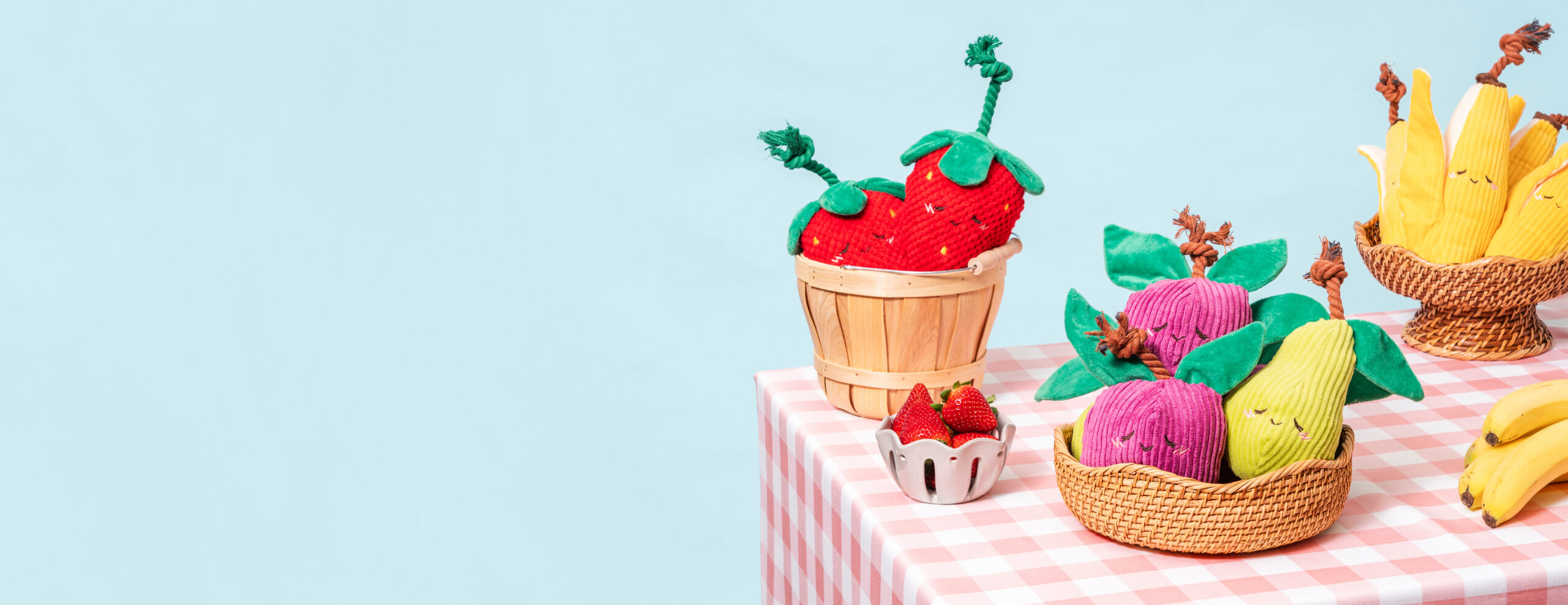 Fresh Picks From The Zippy Garden