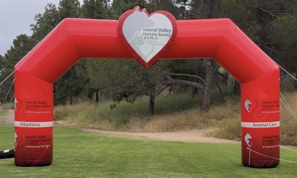 Paws 4 Pets Walk Starting Gate