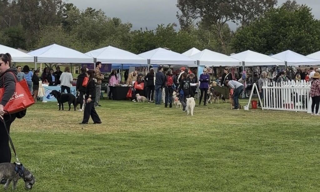 People and dogs gather near white vendor tents at an outdoor event on grass, with some people carrying red bags and trees in the background.