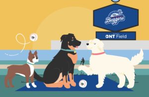 Play Ball with Our New Teammates, the Ontario Tower Buzzers 