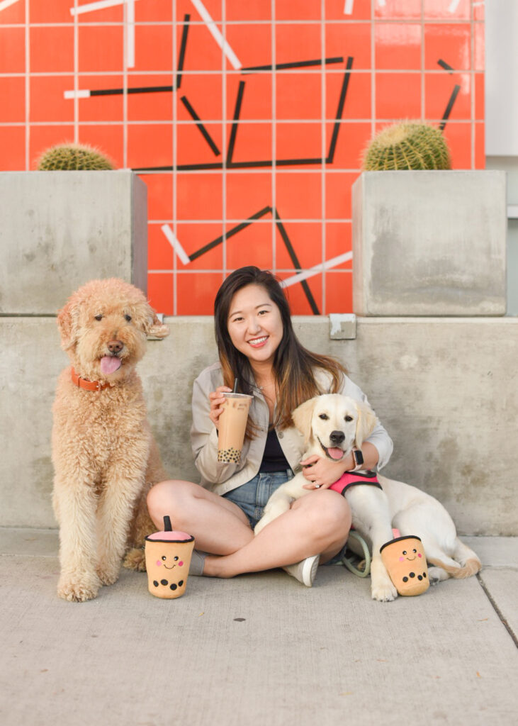 Woman sitting with two dogs and plush boba toys.