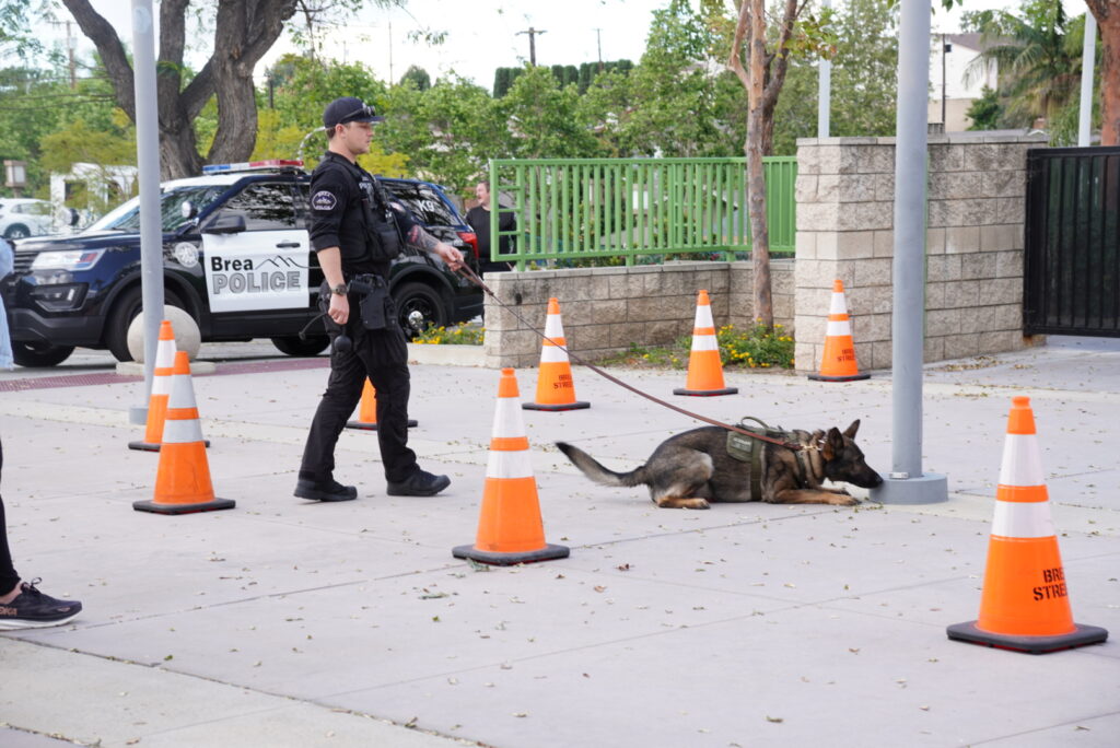 A police officer stands near orange cones while a police dog lies on the ground outside, with a police vehicle parked nearby.