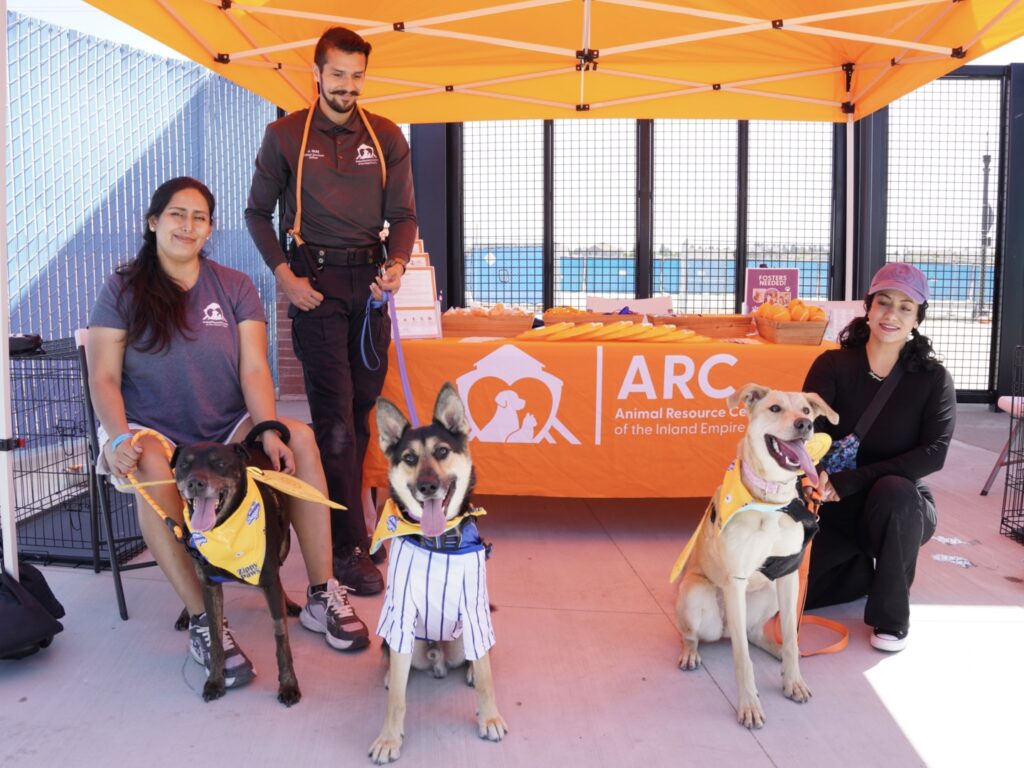 Three people and three dogs with yellow bandanas sit and stand in front of an ARC Animal Resource Center booth under an orange canopy.