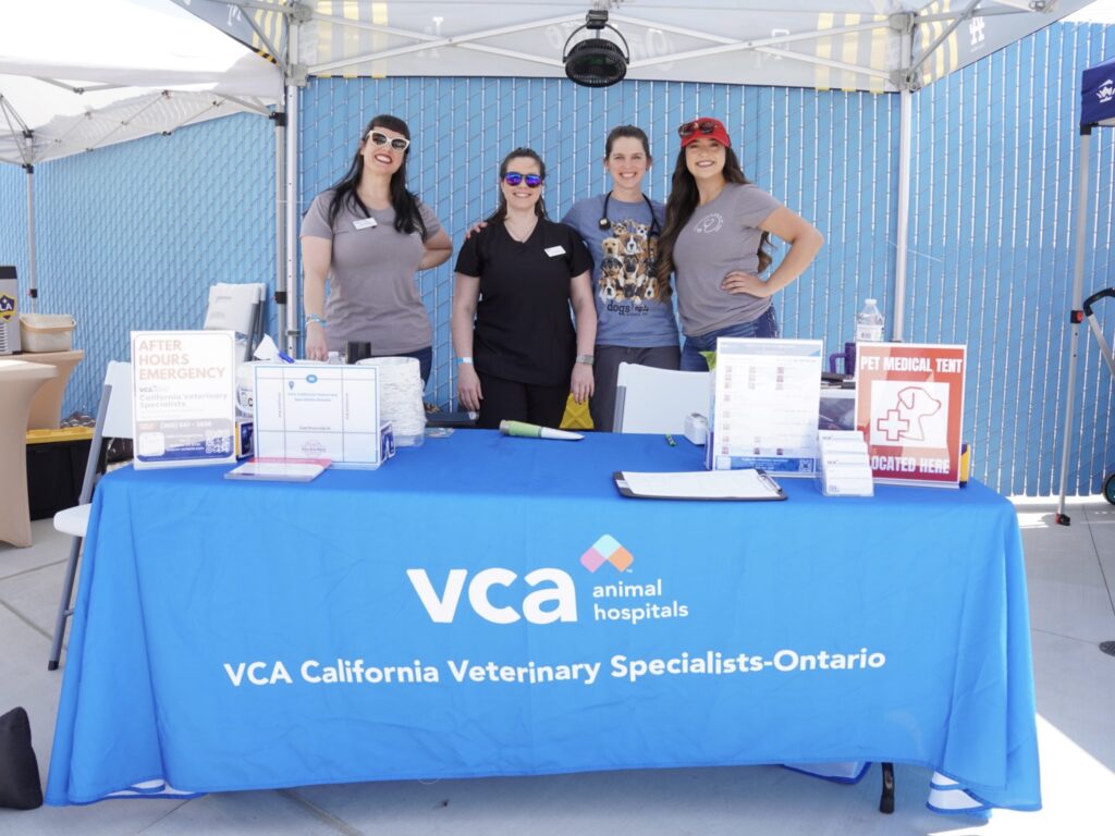 Four women stand behind a VCA California Veterinary Specialists-Ontario table at an outdoor event, with informational materials and signage displayed on the table.