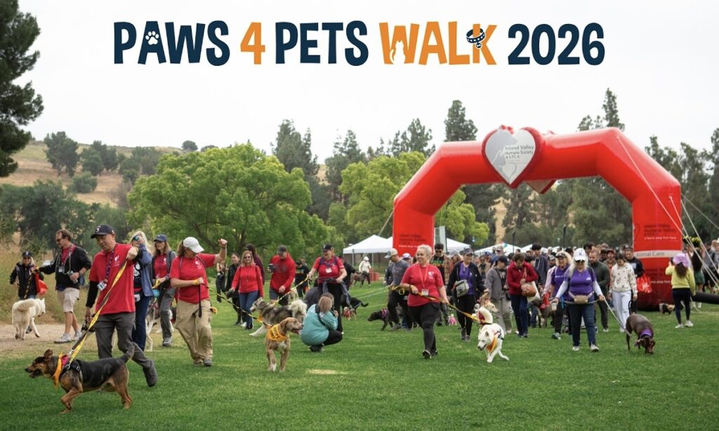 A group of people with dogs walk in a park under an inflatable red archway at the "Paws 4 Pets Walk 2026" event.