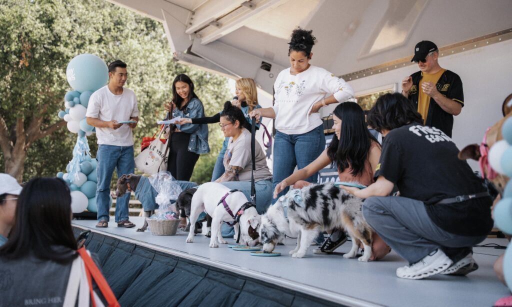 A group of people with their dogs stand on a stage decorated with balloons at an outdoor event.