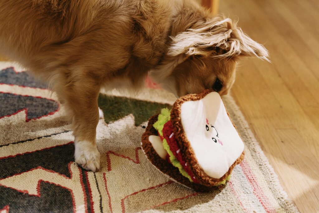 Dog sniffing Snufflerz BLT Toy