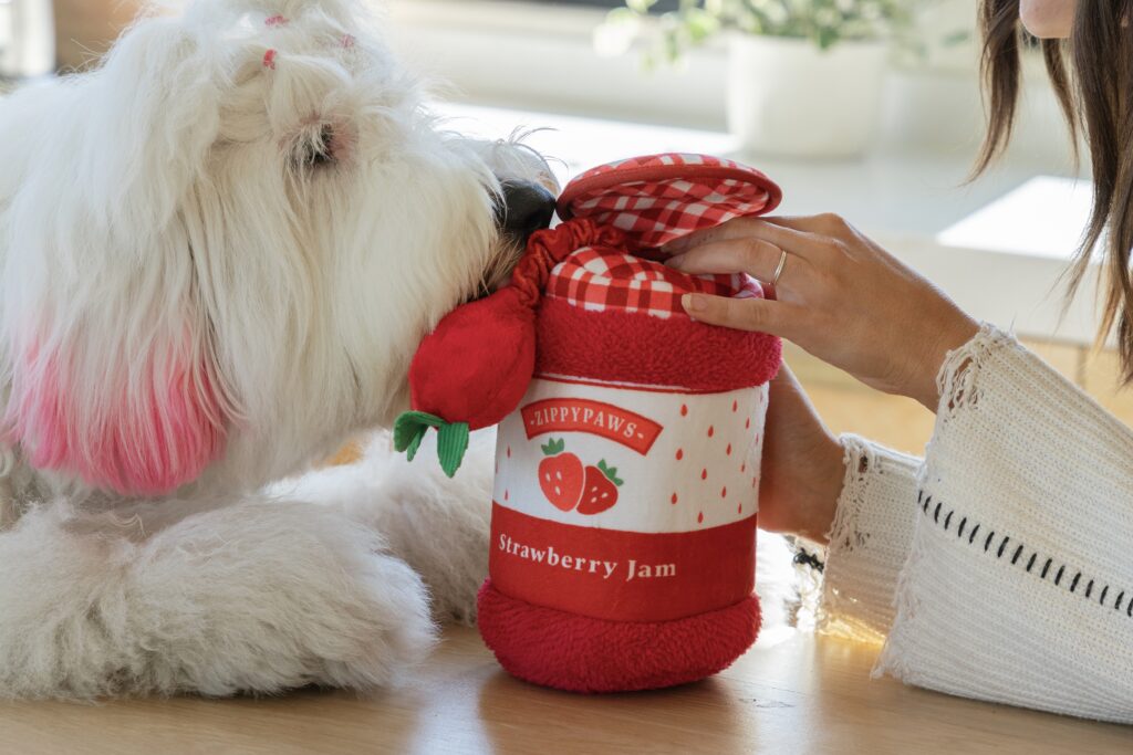 Woman introducing Strawberry Jam toy to Sniffing dog