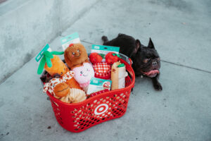 Summer Toy Refresh: Interactive Dog Toys Now Available at Target