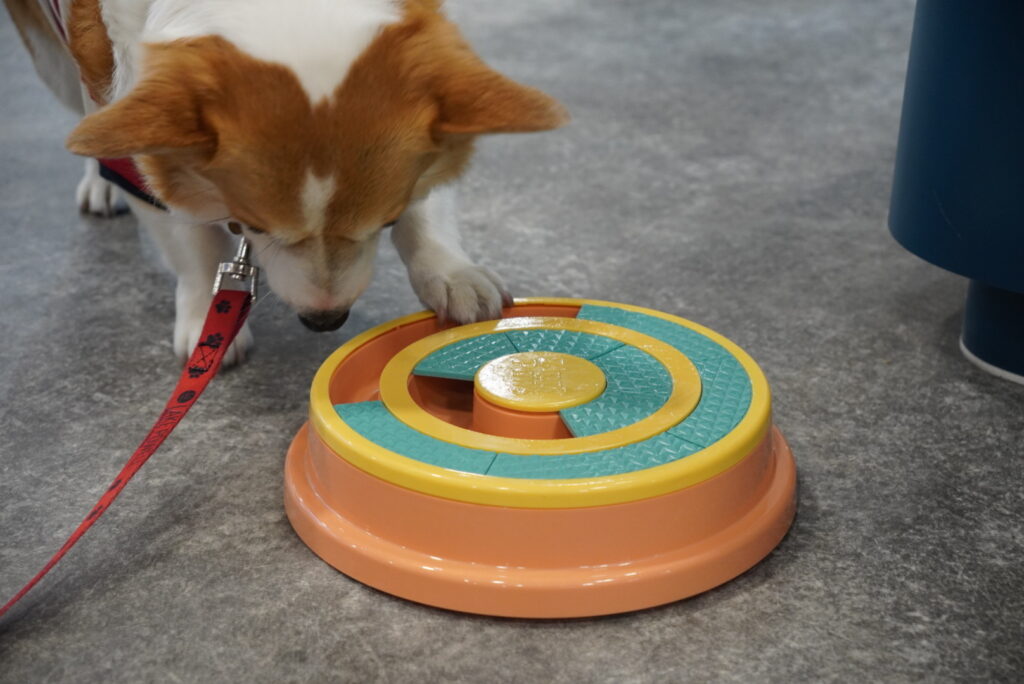 A dog uses its paw and nose to interact with a round orange and yellow puzzle toy on a gray floor.