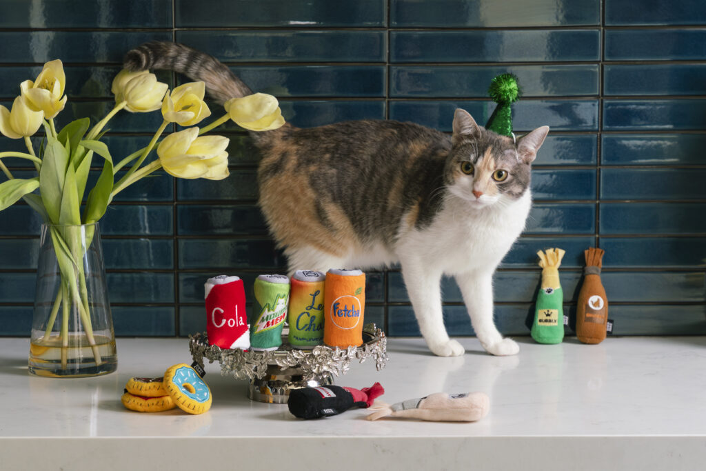 A cat stands on a counter next to yellow tulips, plush drink toys, and party-themed cat toys, in front of a blue tiled wall.