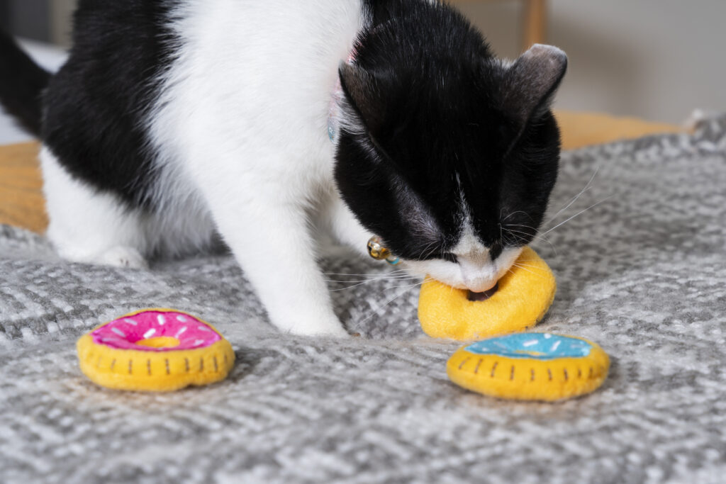 A black and white cat bites a yellow toy donut, with two other colorful toy donuts on a gray patterned blanket.