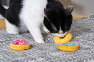 A black and white cat bites a yellow toy donut, with two other colorful toy donuts on a gray patterned blanket.