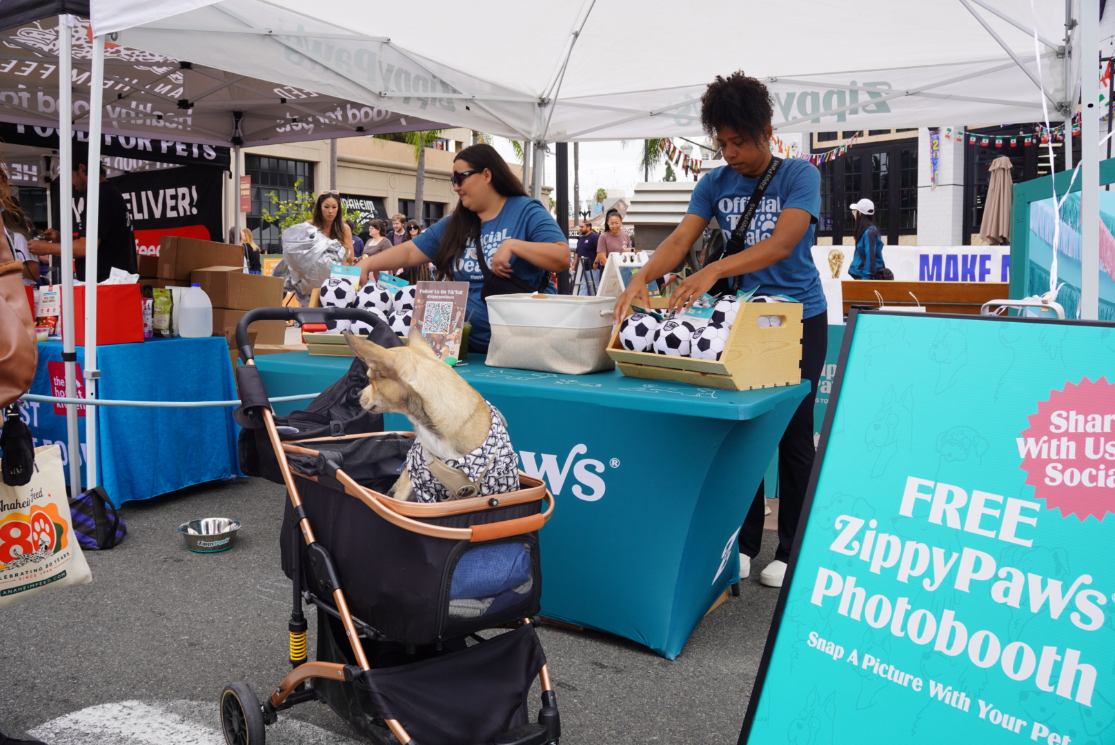 Two people set up items at a ZippyPaws booth under a tent while a dog sits in a stroller nearby. A sign advertises a free photobooth for pets.
