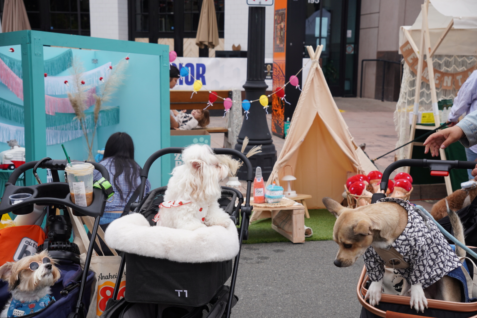 Several dogs in strollers and costumes are at an outdoor event with tents, decorations, and people nearby.