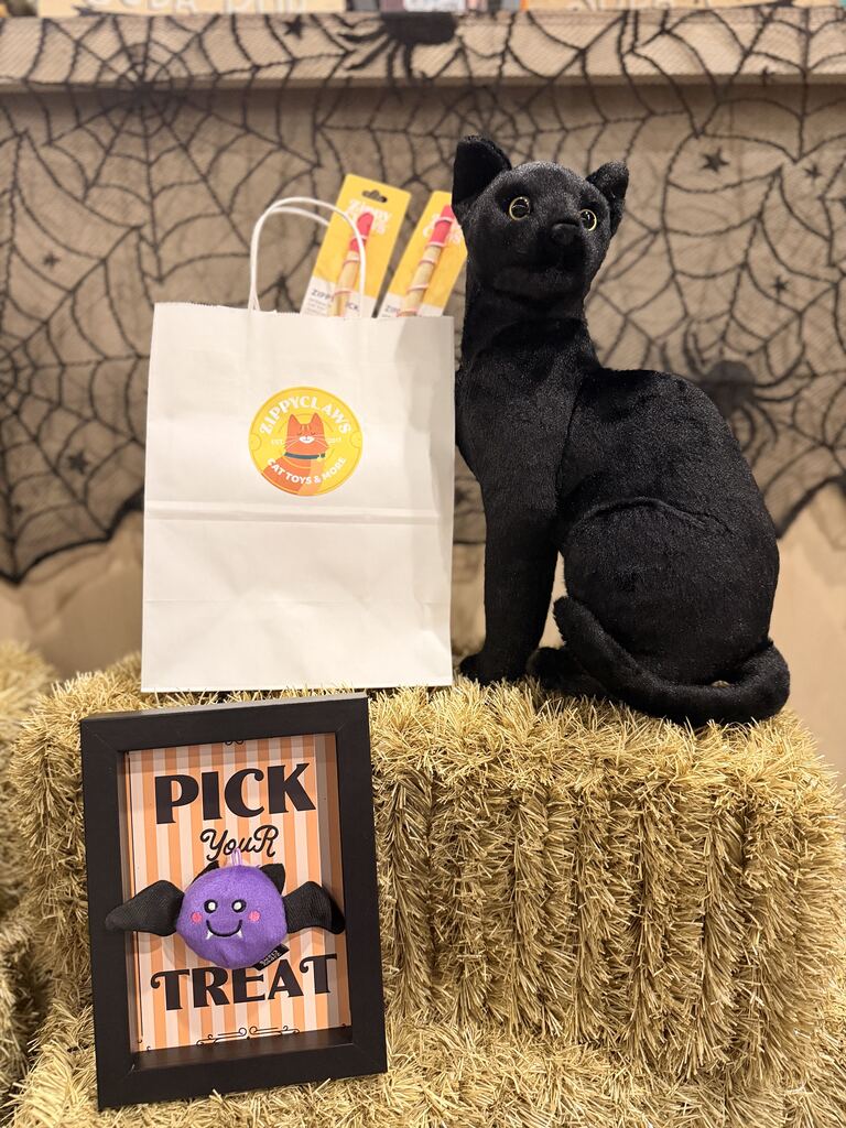 A black plush cat sitting next to a white ZippyClaws gift bag and a framed sign that reads “Pick Your Treat” with a purple bat toy.