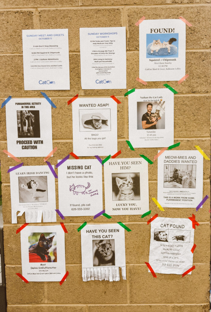 A cork bulletin board displaying various CatCon event flyers, workshops, and humorous lost cat posters taped with colorful masking tape.